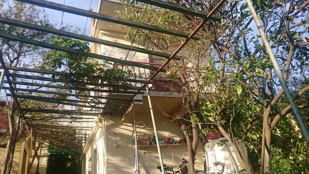 Apartments Petkovic Kuciste Cameră foto